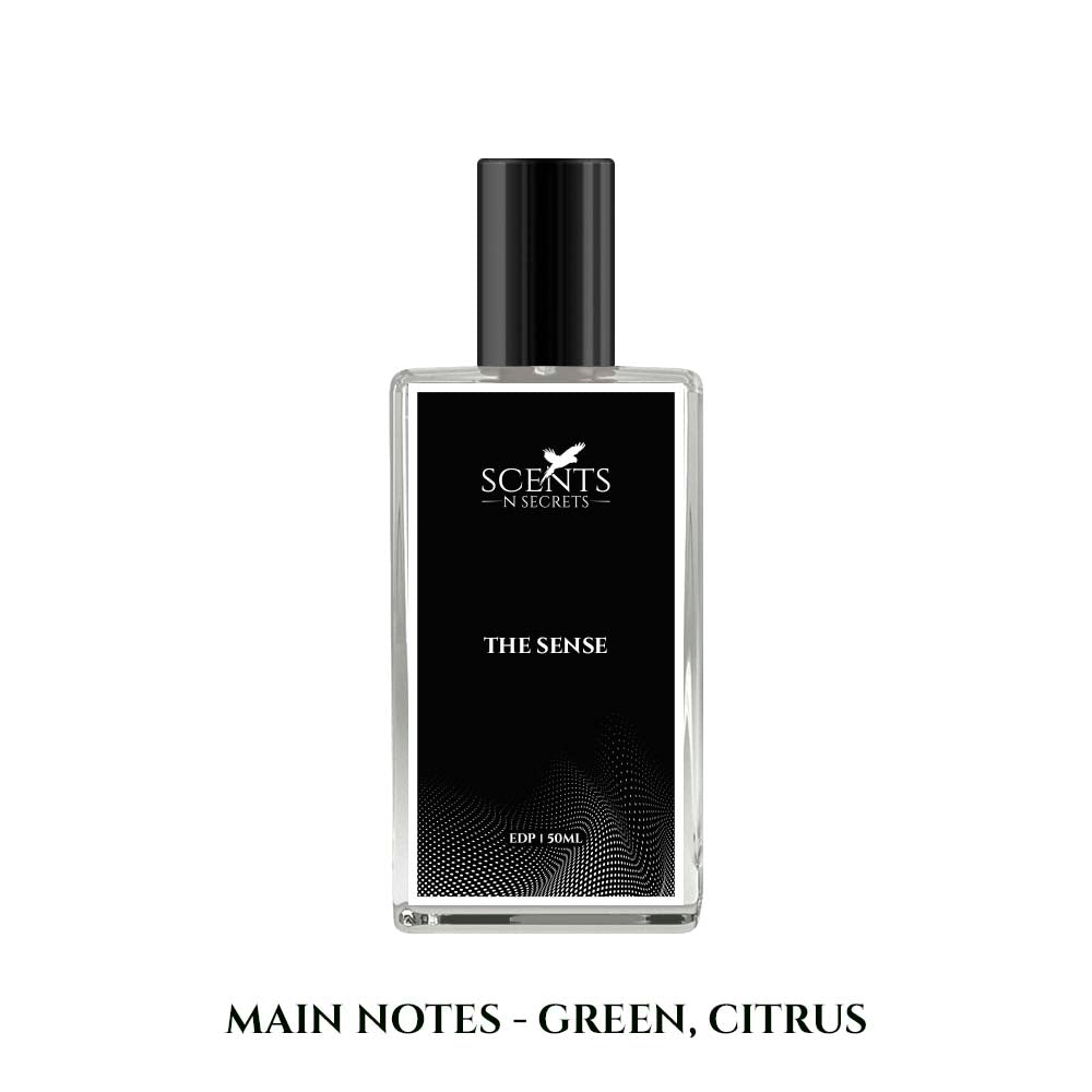 The Sense | Inspired By Silver Mountain