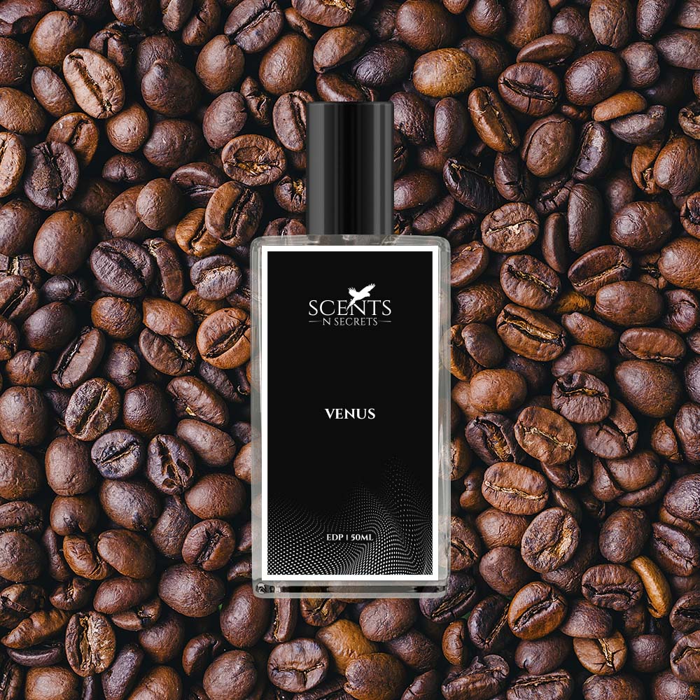Venus | Inspired By YSL Black Opium