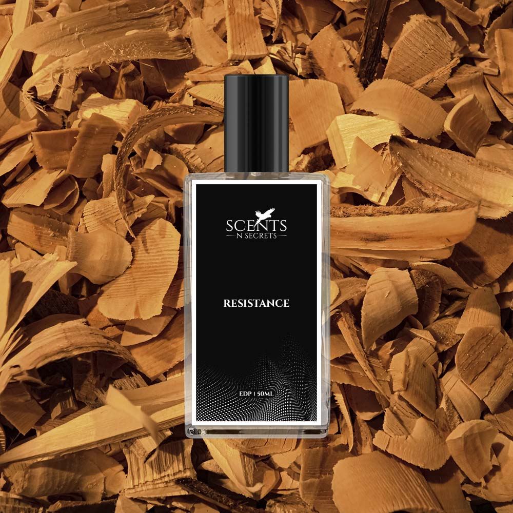 Resistance | Inspired By Fahrenheit Perfume